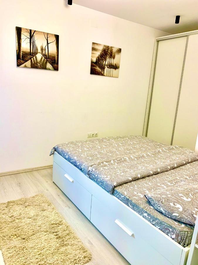 Apartament In Centrul Clujului Apartment ภายนอก รูปภาพ