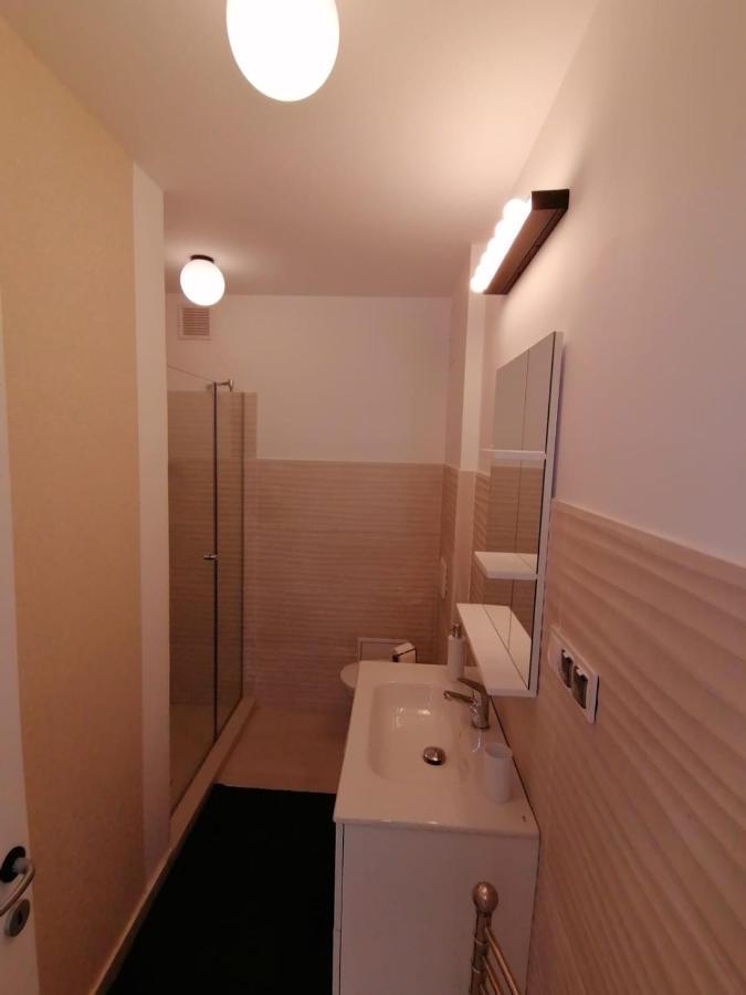 Apartament In Centrul Clujului Apartment ภายนอก รูปภาพ