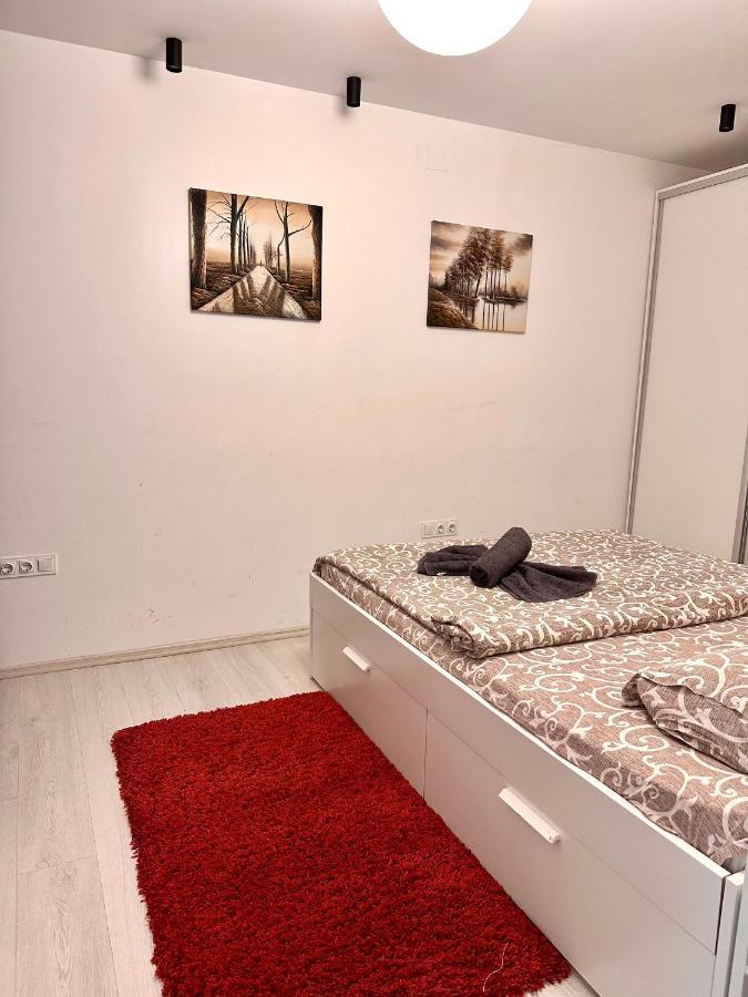 Apartament In Centrul Clujului Apartment ภายนอก รูปภาพ