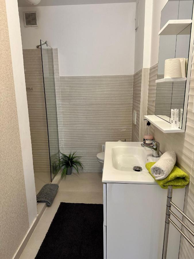 Apartament In Centrul Clujului Apartment ภายนอก รูปภาพ