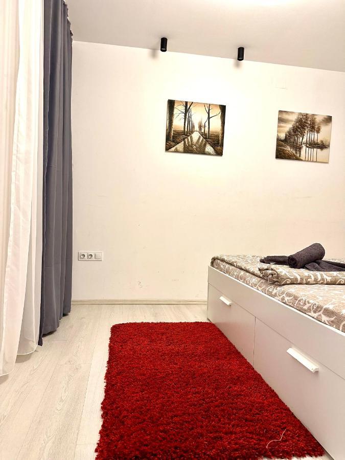 Apartament In Centrul Clujului Apartment ภายนอก รูปภาพ